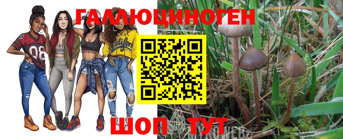 где купить   Псилоцибиновые грибы мухоморы  Вход с VPN  Сосновоборск  Псилоцибиновые грибы Magic Shrooms 