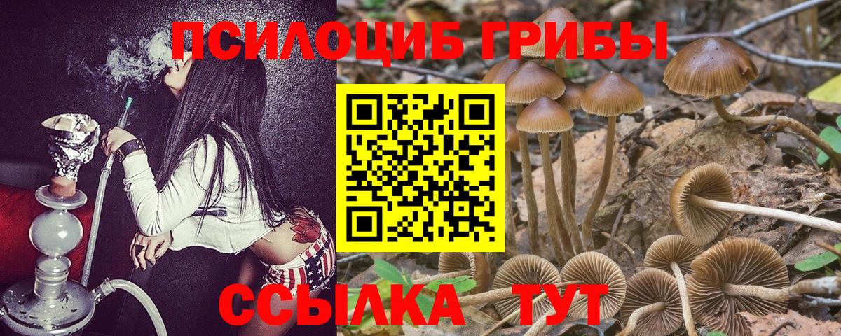 Псилоцибиновые грибы ЛСД Сосновоборск